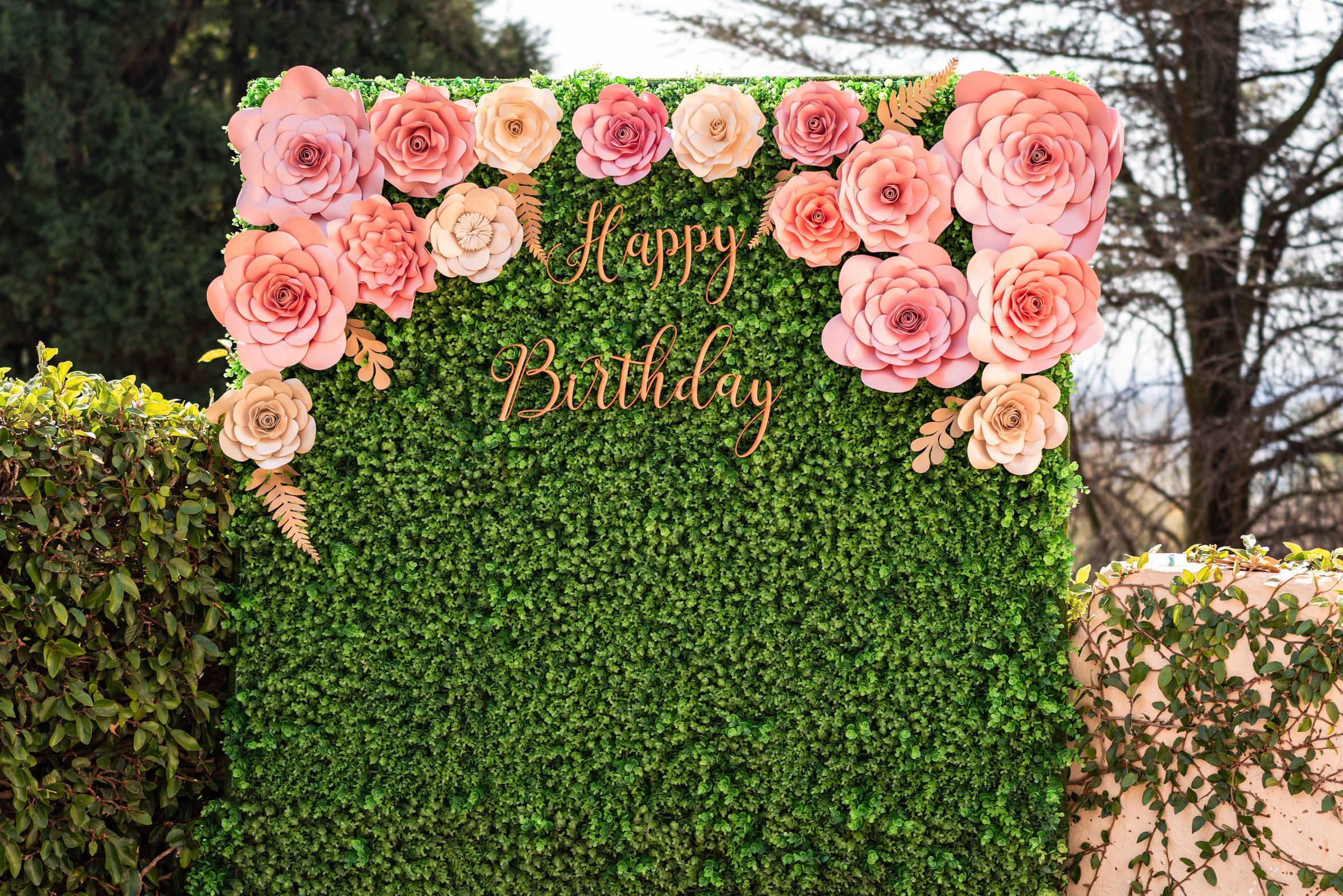 happy birthday written on leaves floral board backdrop with hedge wall